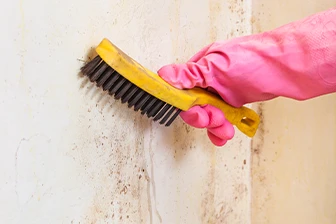 infiltrações foto 2 - resolvemosnahora